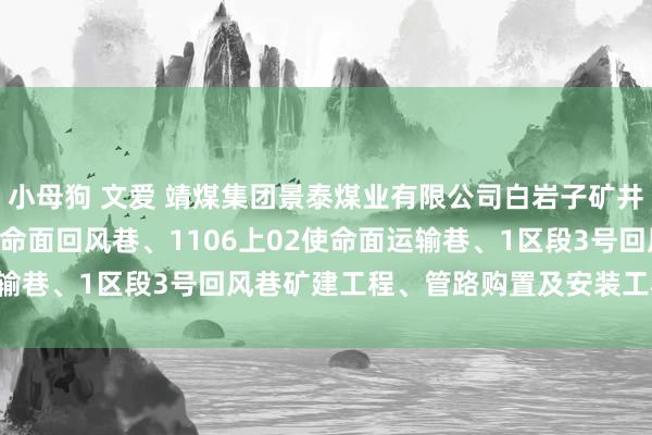 小母狗 文爱 靖煤集团景泰煤业有限公司白岩子矿井及选煤厂1106上02使命面回风巷、1106上02使