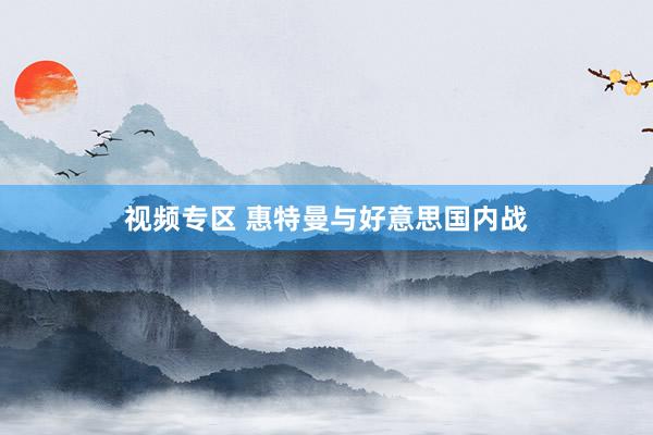 视频专区 惠特曼与好意思国内战
