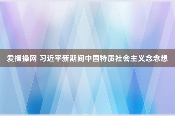 爱操操网 习近平新期间中国特质社会主义念念想