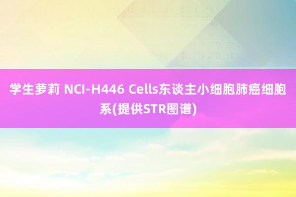 学生萝莉 NCI-H446 Cells东谈主小细胞肺癌细胞系(提供STR图谱)