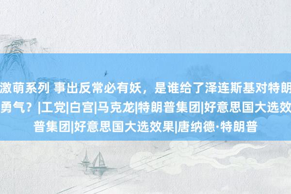 激萌系列 事出反常必有妖，是谁给了泽连斯基对特朗普“骑脸怒怼”的勇气？|工党|白宫|马克龙|特朗普集团|好意思国大选效果|唐纳德·特朗普