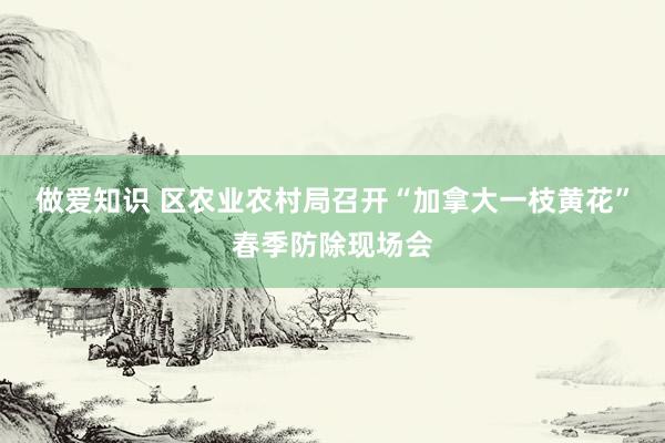 做爱知识 区农业农村局召开“加拿大一枝黄花”春季防除现场会